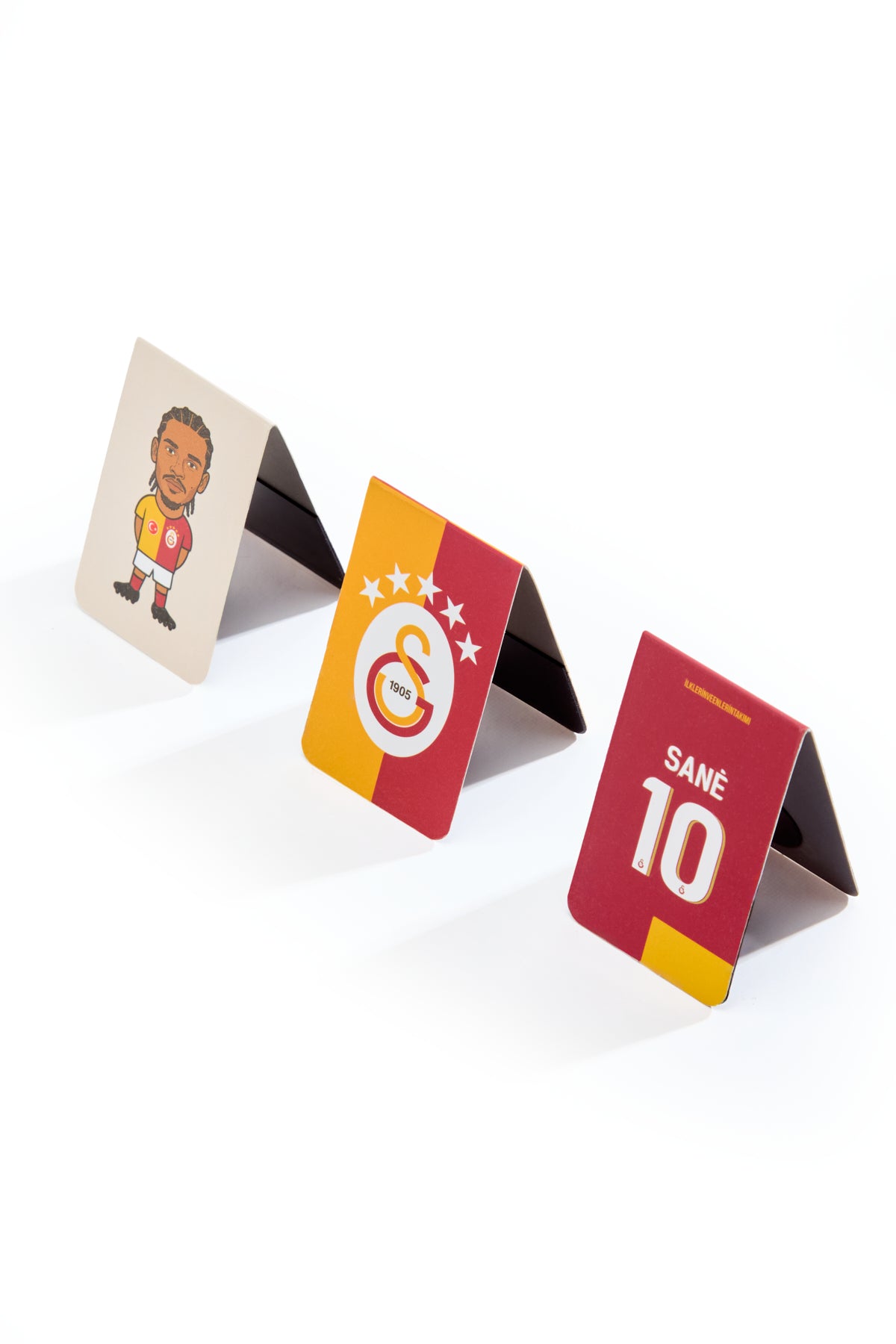 Sane 10 Forma Mıknatıslı Kitap Ayracı